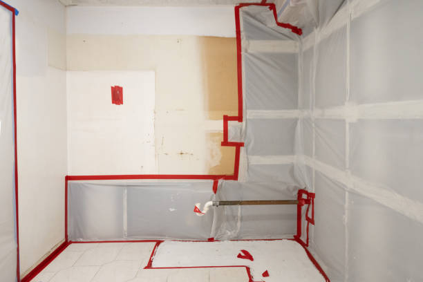 Best Forensic Mold Investigation  in Cocoa West, FL