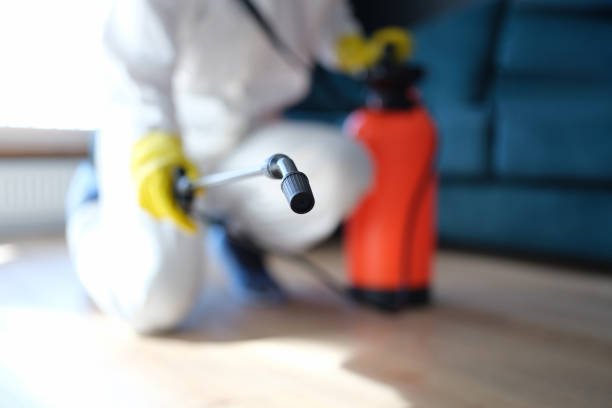 Best Industrial Mold Remediation  in Cocoa West, FL