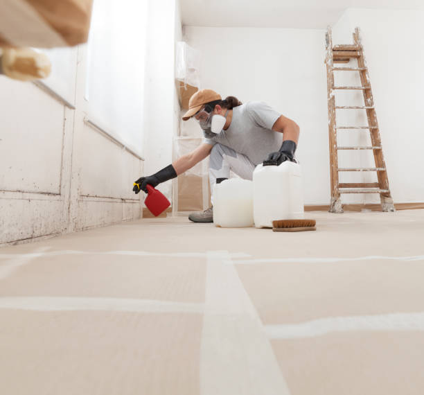 Trusted Cocoa West, FL Mold Removal Experts